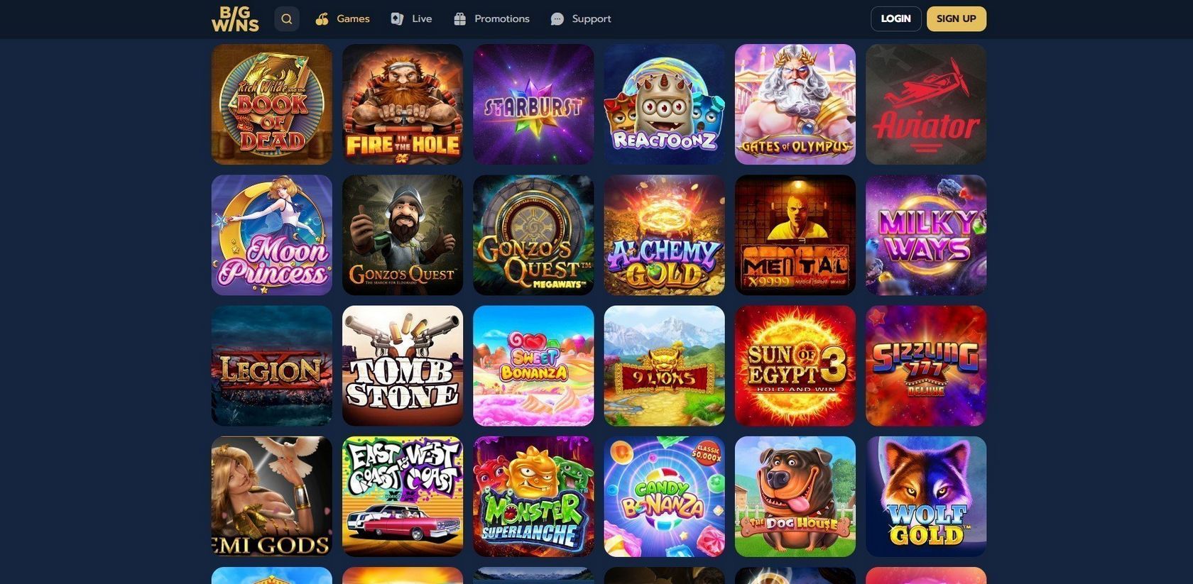 Bigwin Casino Site Review
